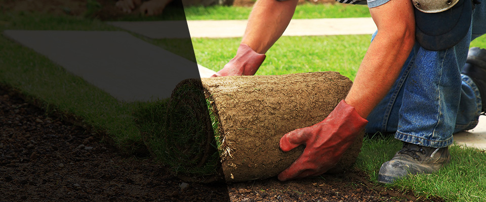 Ballston Lake Landscapers